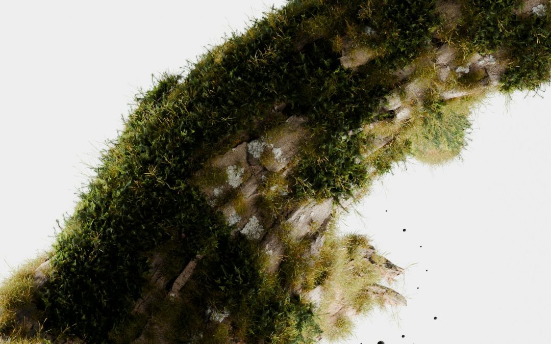 Cómo medir la huella de carbono de tu empresa sin complicaciones