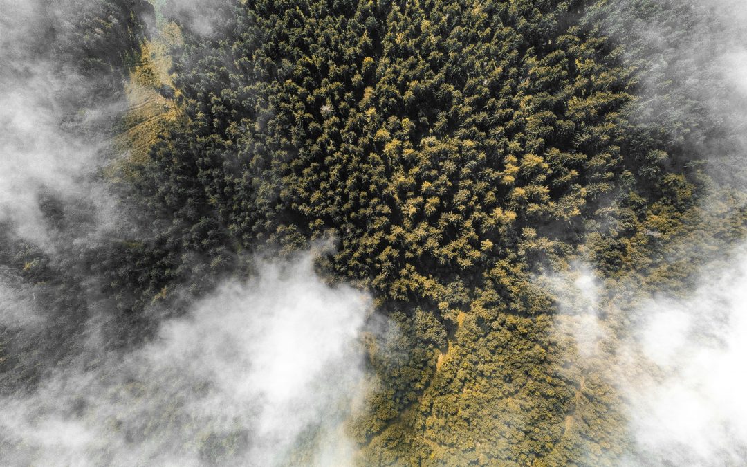 Los 3 dolores de toda PYME que busca ser sostenible